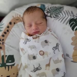 Meet your Posher, Roxanne